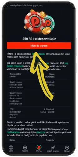 Pin Up saytında idman 125% və kazino 120% + 250 FS bonuslarının əsas səhifəsi